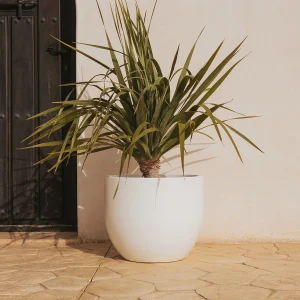 Macetero redondo AZALEA 50