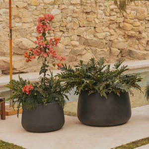 PACK MACETA CAMELIA 80 + CAMELIA 60