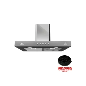 Campana T Condesa 60cm Inox