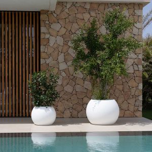 Macetero redondo DALIA 50