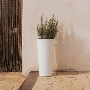 Macetero redondo FICUS 60