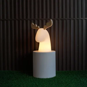 RENO ILUMINADO RUDY | USO INTERIOR