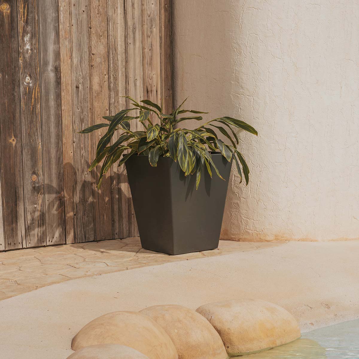 MACETA CALENDULA 50 - Imagen 4