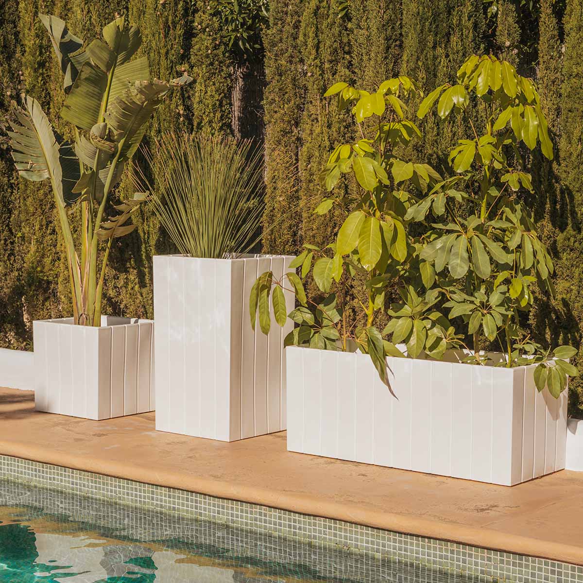 Macetero rectangular OLIVO LARGE - Imagen 3