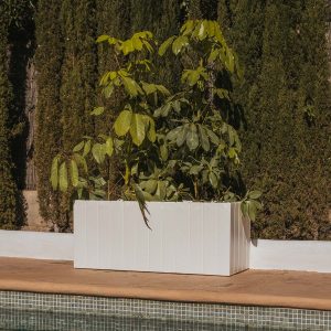 Macetero rectangular OLIVO LARGE