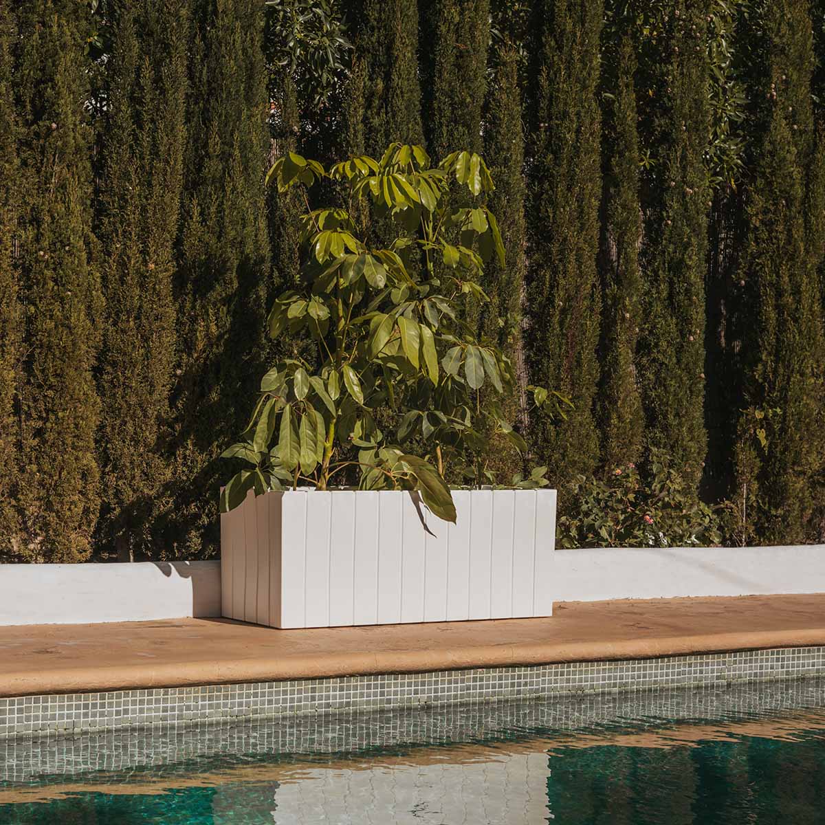 Macetero rectangular OLIVO LARGE - Imagen 4