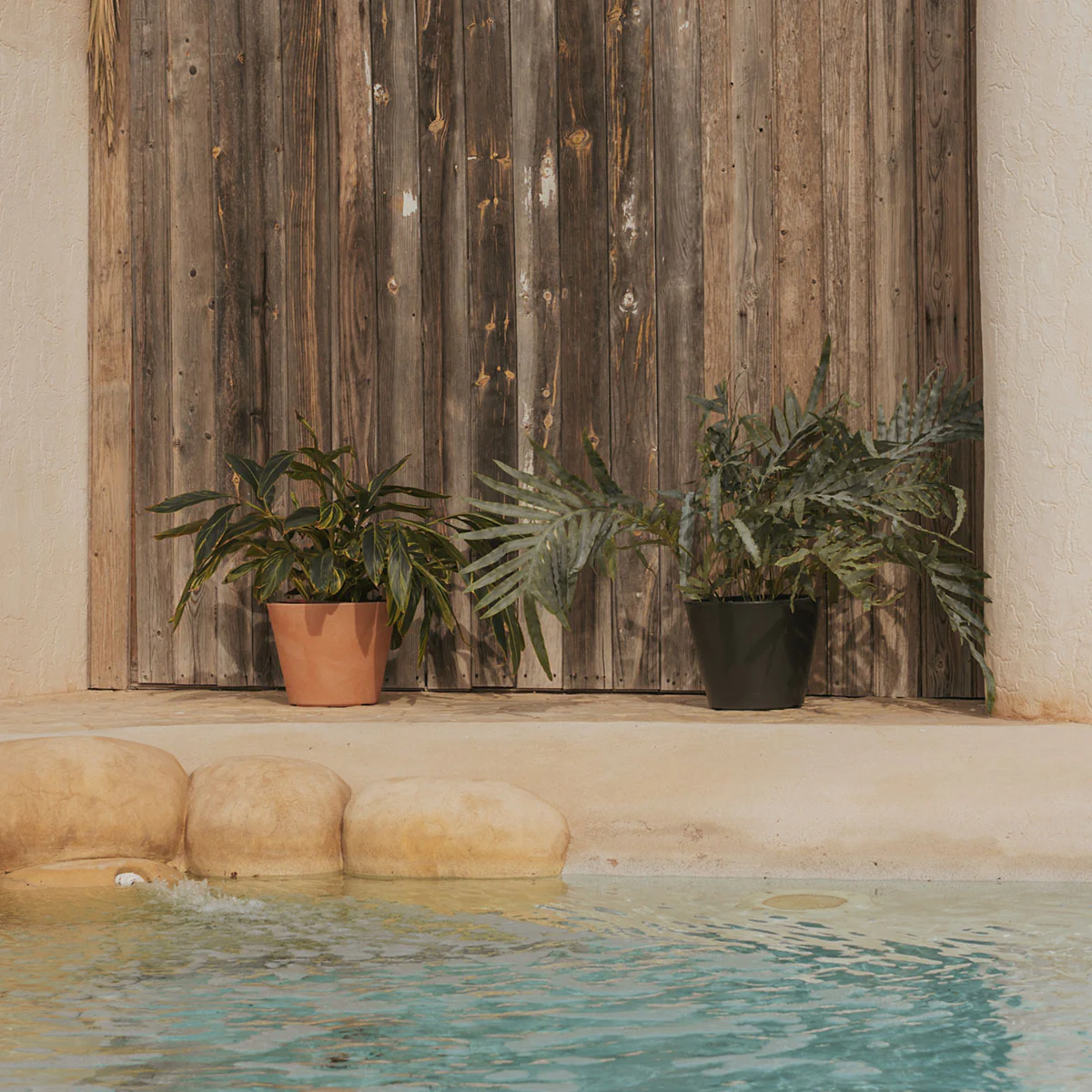 MACETA PETUNIA 36 - Imagen 8