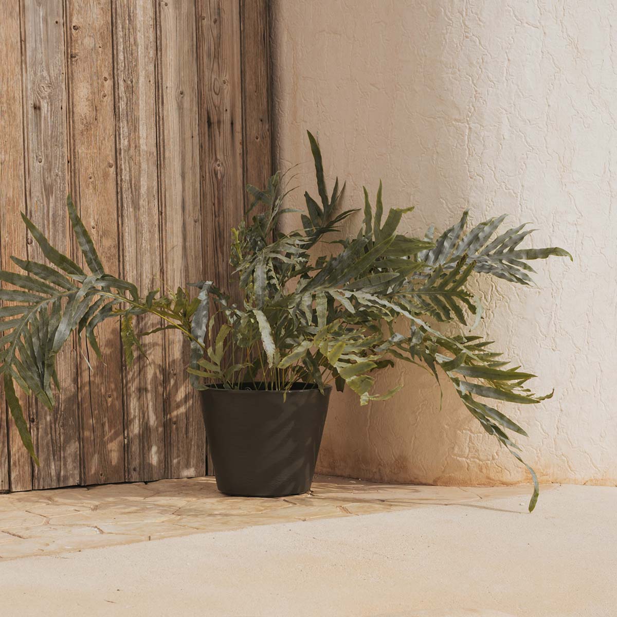 MACETA PETUNIA 36 - Imagen 9