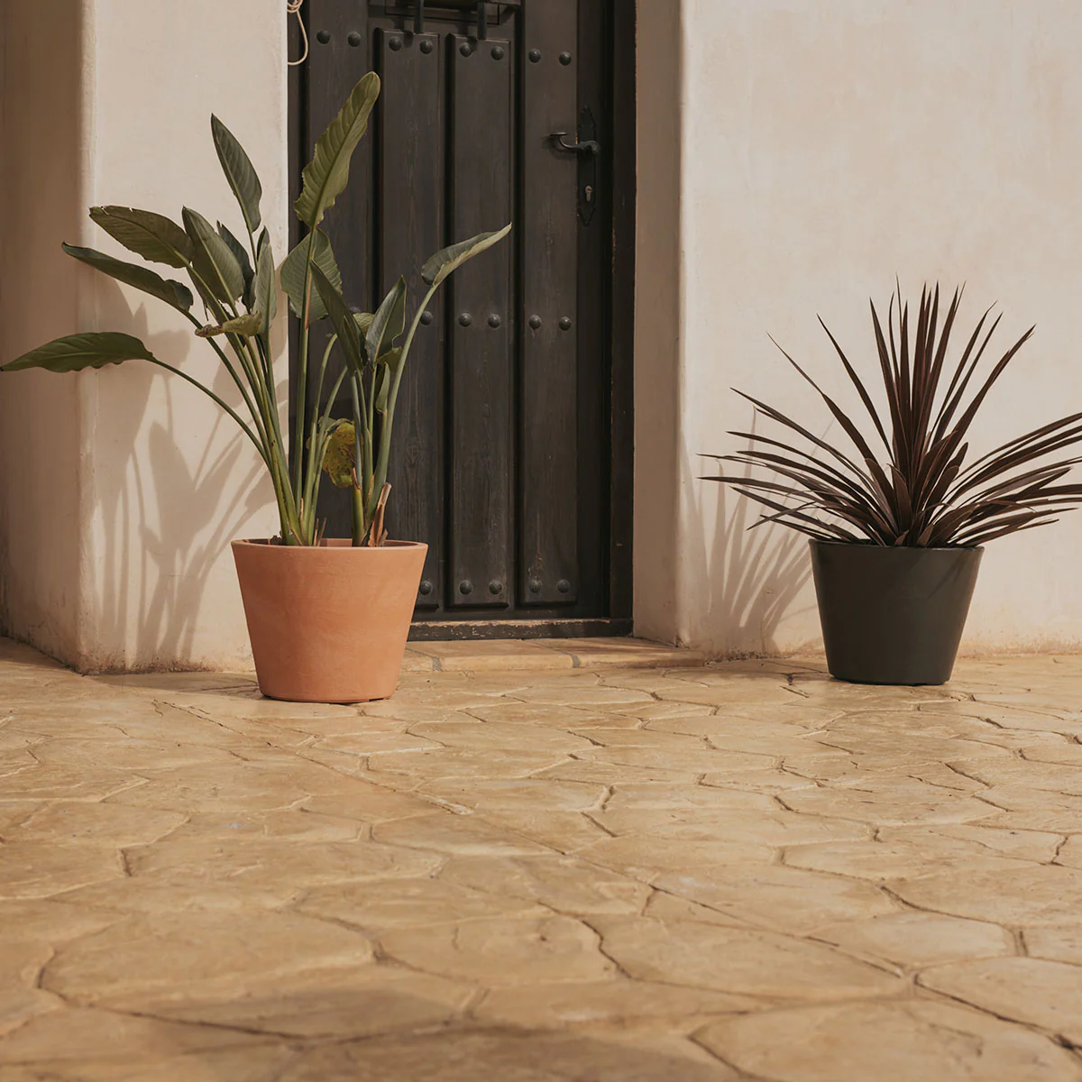 MACETA PETUNIA 36 - Imagen 2