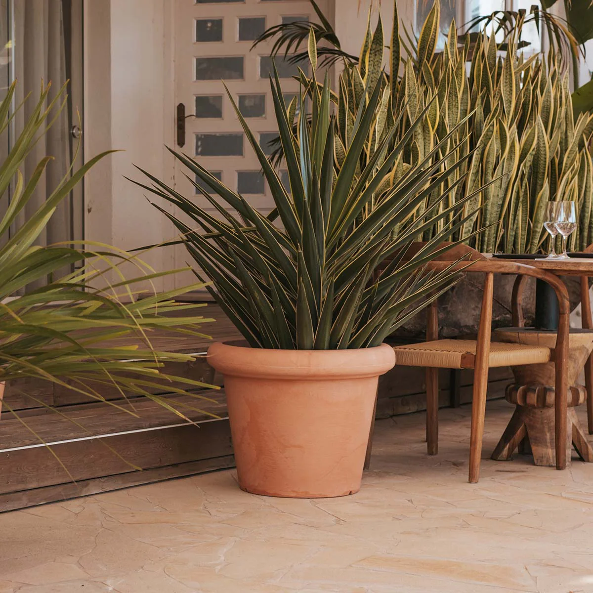 MACETA ROSA 55 RÚSTICA - Imagen 3