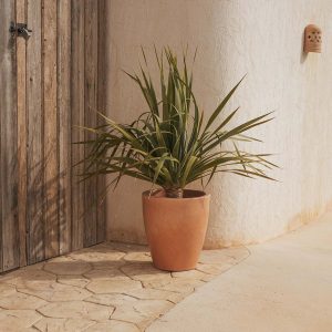 Macetero redondo VIOLETA 40